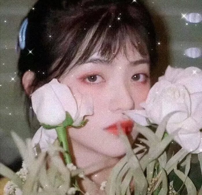 纳米核心第二季